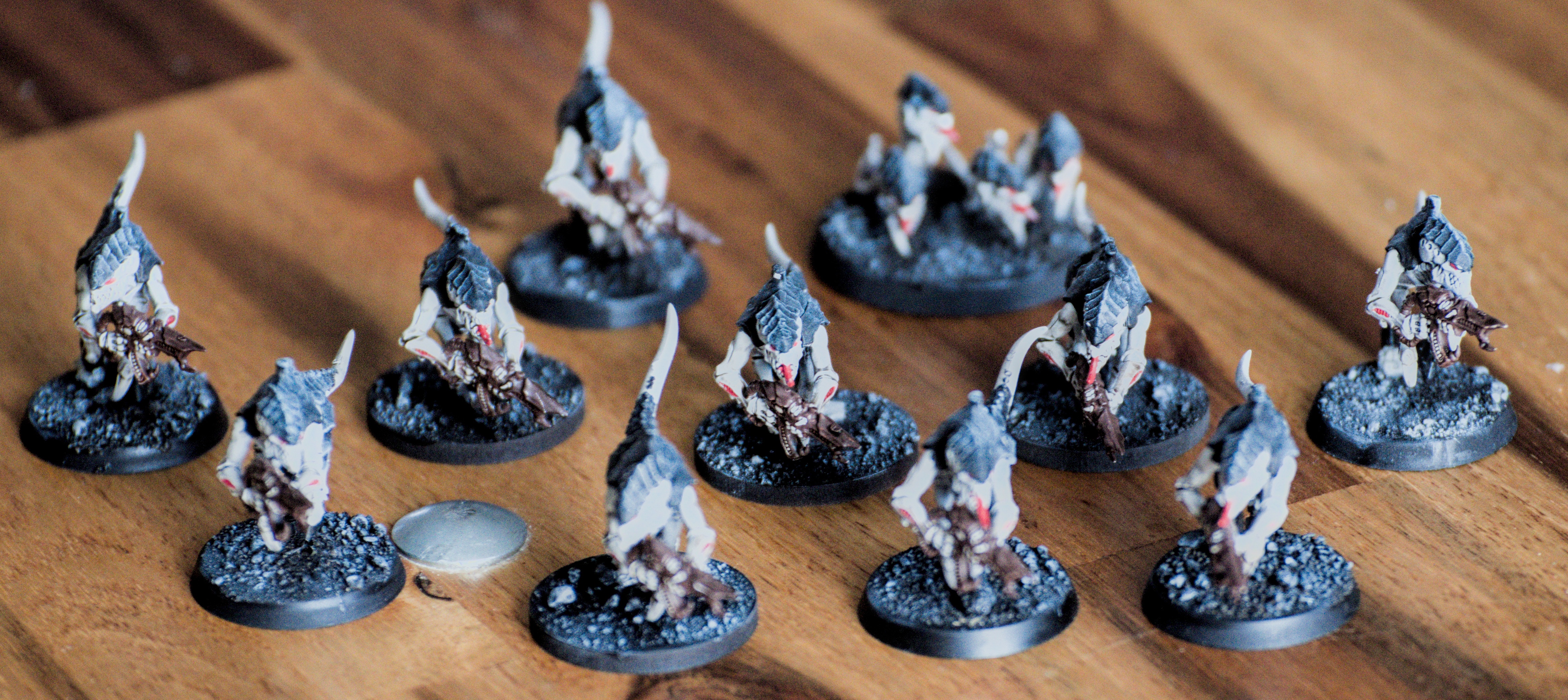 TERMAGANTS (10 figs)